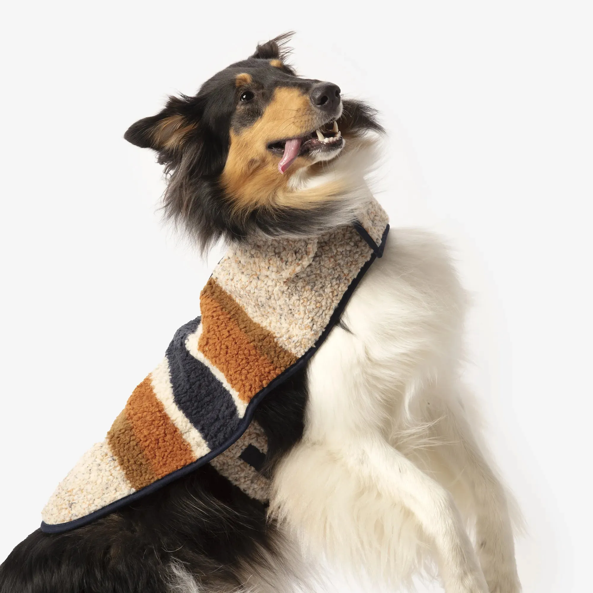 Shinola Berber Coat | Oatmeal